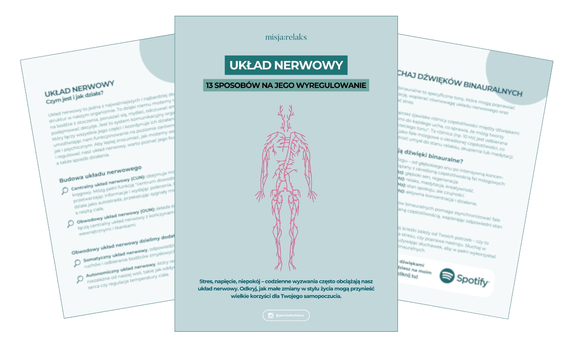 Okładka e-booka o regulowaniu układu nerwowego