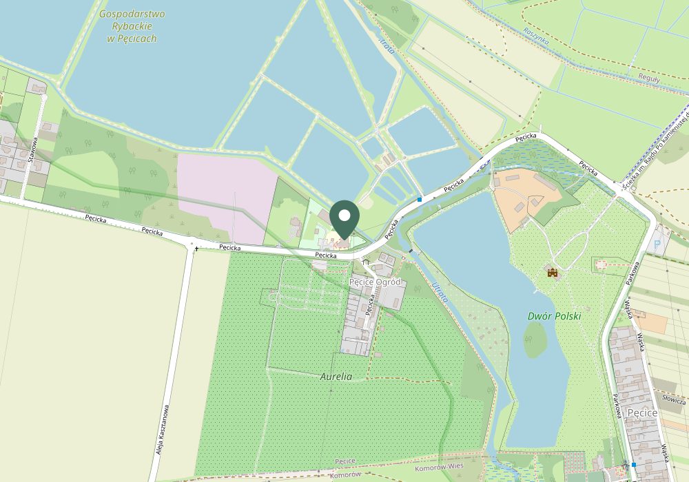 Mapa: Studio The Roots, ul. Pęcicka 10, Pęcice